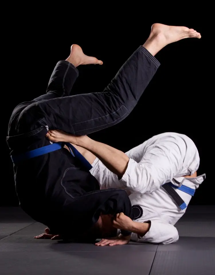Jiu Jitsu Classes in Hornsby Bend